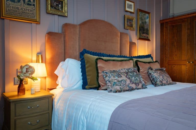 Cover Image for Really Fancy room